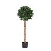 AnyConv.com 125112UV Laurierbol Kunstplant op stam 120cm UV 1