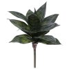 AnyConv.com 447502GR Sanseveria bush 20 groen 3