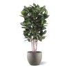 Umělý strom Ficus Audrey Deluxe (155cm)