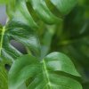 AnyConv.com 214206 monstera kunst hangplant 60cm groen closeup2