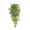 AnyConv.com 214008 Hoya carnosa kunst hanger 80cm rt 2