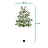 AnyConv.com bucida shady lady kunstboom 400cm groen sizing template