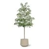 AnyConv.com bucida shady lady kunstboom 400cm groen combination image 3