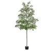 AnyConv.com 144040 Bucida shady lady kunstboom 400cm groen