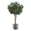 AnyConv.com ficus elastica robusta kunstboom xxl deluxe 350cm combination image 4
