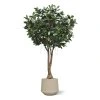 AnyConv.com ficus elastica robusta kunstboom xxl deluxe 350cm combination image 2