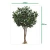 AnyConv.com ficus elastica robusta kunstboom xxl deluxe 350cm sizing template