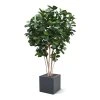 AnyConv.com lyrata deluxe kunstplant op stam 125cm pot2