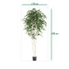 AnyConv.com kunst berkenboom 250cm deluxe sizing template
