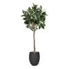 AnyConv.com ficus elastica robusta kunstboom deluxe 230cm combination image 3