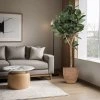 AnyConv.com ficus elastica robusta kunstboom deluxe 200cm lifestyle image 2