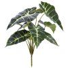 446904 Alocasia boeket 40 groen 3