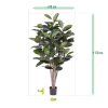 151317GR Elastica Robusta 170 size