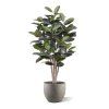 elastica robusta kunstplant 170cm groen pot5