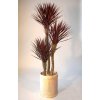 5383 umely strom yucca linearis set x3 200cm burgundy