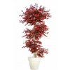 Maple Multistep 220 cm Burgundy V1046B06