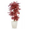 Maple Multistep 210 cm Burgundy V1046B05