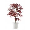 Maple Multistep 150 cm Burgundy V1046B04(1)