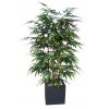 Bamboo Wild Bush 180 cm Green V1074019(1)