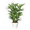 Kentia Palm Lux x3 200 cm Green V4175002