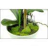 Umělá rostlina Orchidej v misce (45cm)