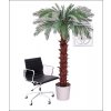 Umělá palma Cycas (Varianta 210cm)