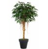 Longifolia Riviera 200 cm Green V1058015(1)