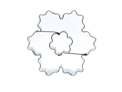 Velká vroubkovaná hvězdička - střed kyticka  Vroubkovaná hvězdička se středem