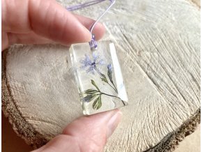Světle fialový květ na stonku se zelenými lístky s fialovým Fluoritem