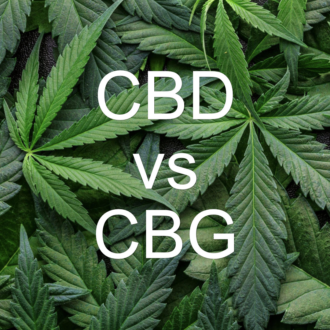 Jaký je rozdíl mezi CBD a CBG?