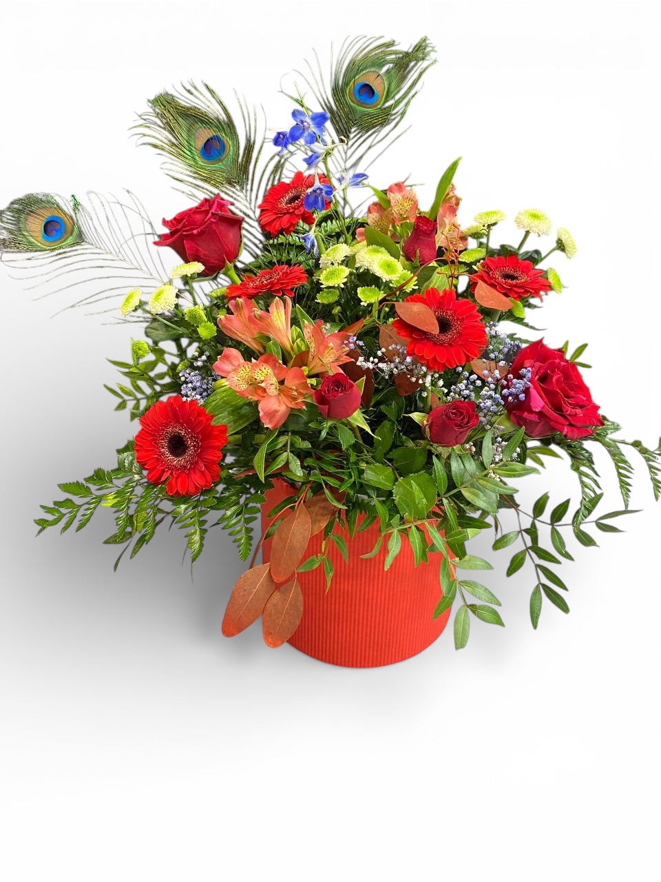 Photoroom_20260202_130955