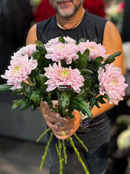 Photoroom 20251024 173323