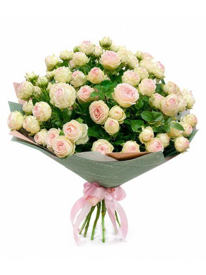 IMAGE 2026 05 28 00:11:43