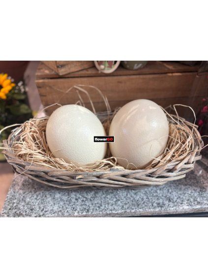 p%C5%A1tros%C3%AD%20vejce