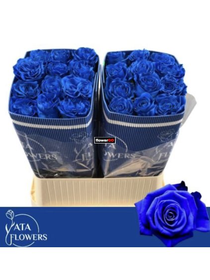 Modr%C3%A9%20r%C5%AF%C5%BEe