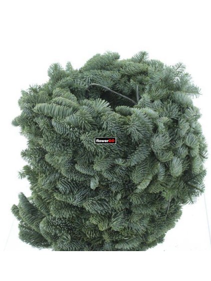 Adventn%C3%AD%20v%C4%9Bnec%20