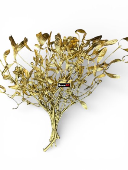 Photoroom 20251220 090932