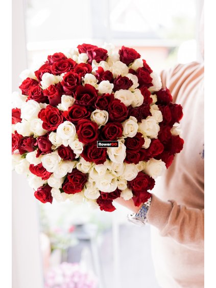 Valentýn 101  růží, červené + bílé