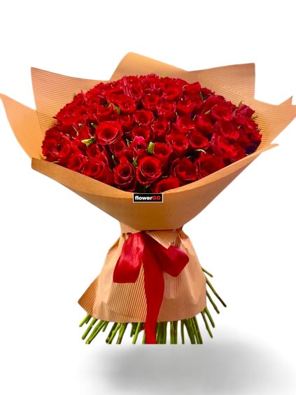 Photoroom 20260210 192746