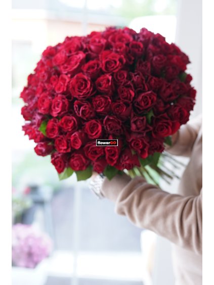 Valentýn 101 krátkých růží, rudé