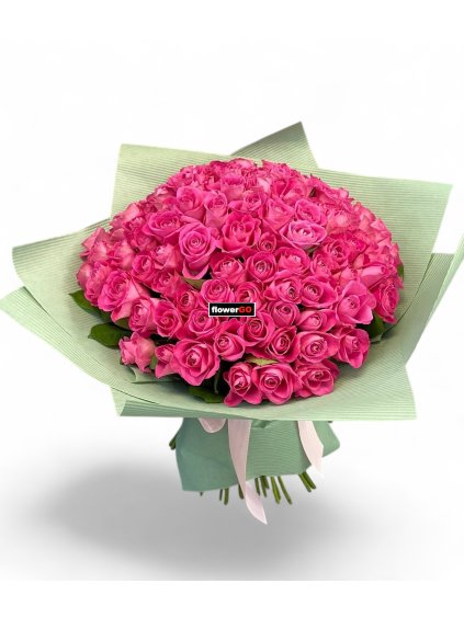 Photoroom 20260116 023745