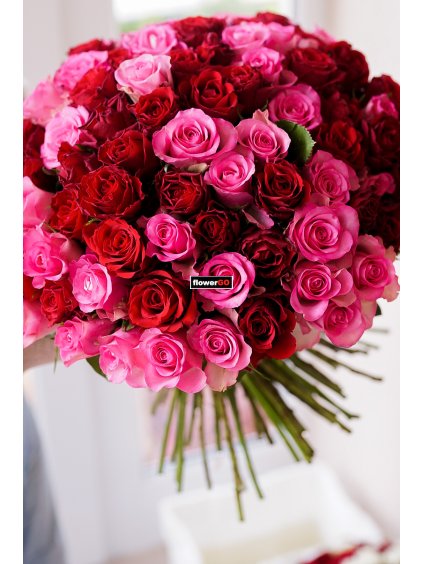 Valentýn 101 růží, růžové a červené