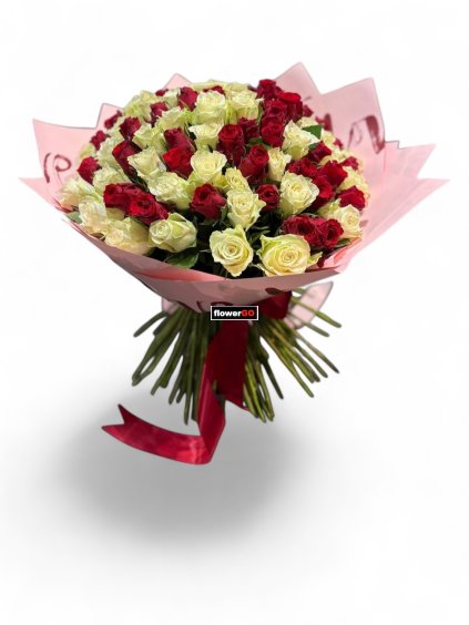 Photoroom 20260121 145248