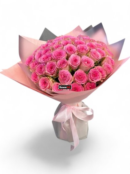 Photoroom 20260121 145900