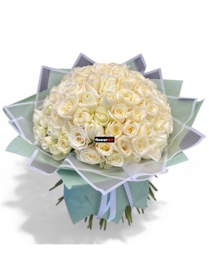 Photoroom 20251024 174228