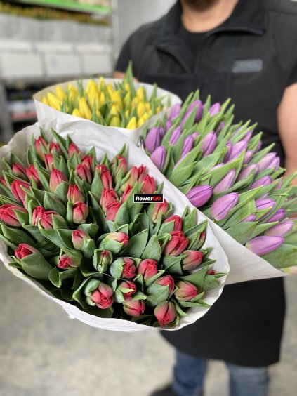 Svazek 50-ti čerstvých  holandských tulipánů