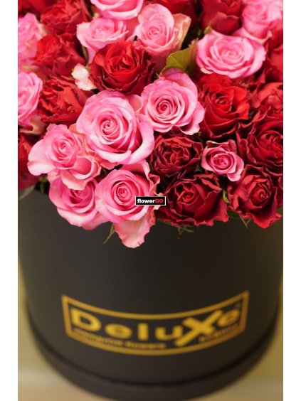 Návrhová plocha 1