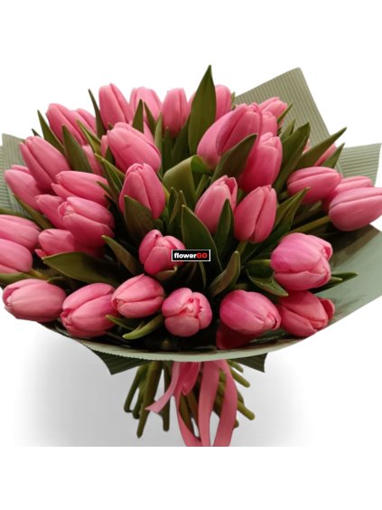 Photoroom 20251130 141329