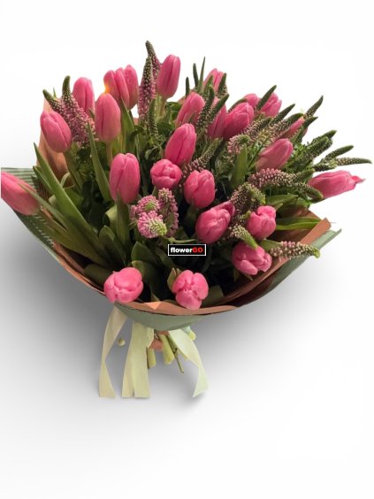 Photoroom 20260202 133300