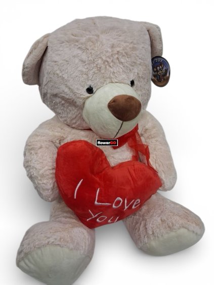 Photoroom 20260202 132715